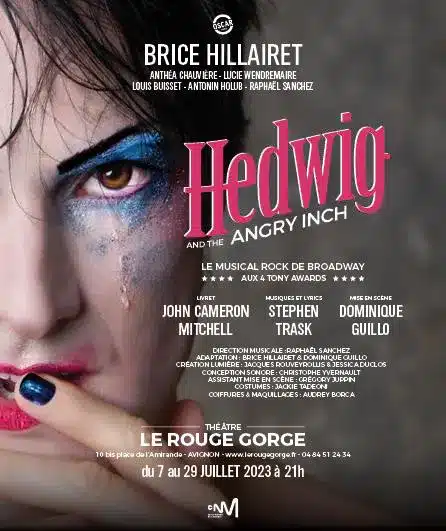 Hedwig and the angry inch