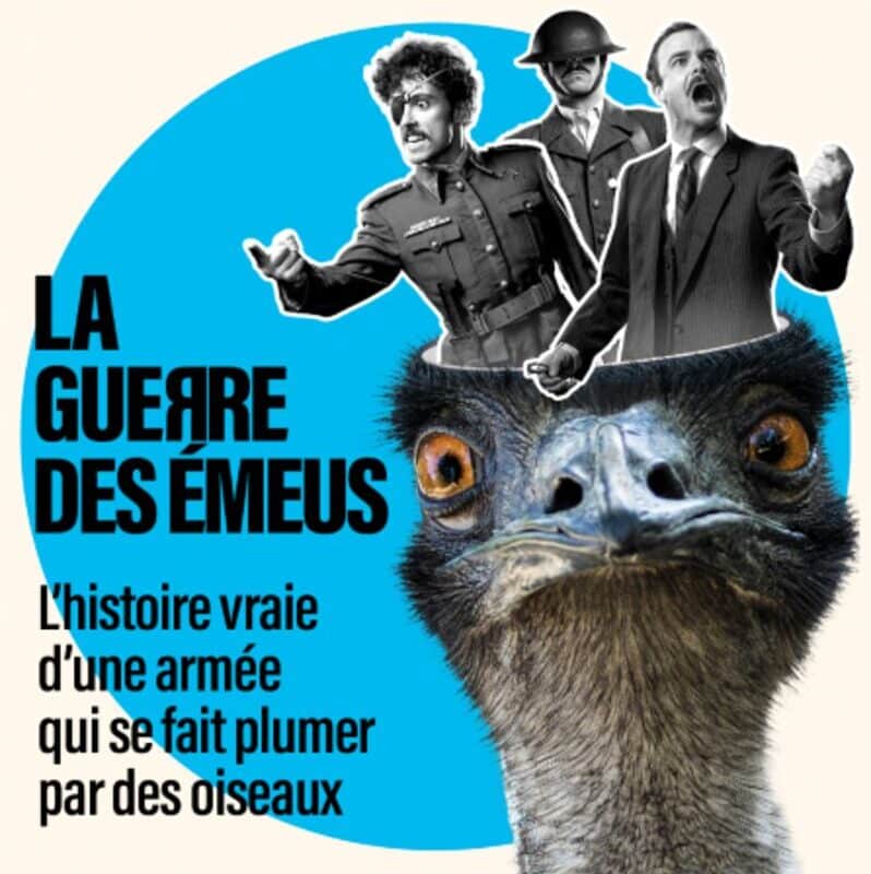 La guerre des émeus, festival d'Avignon 2026