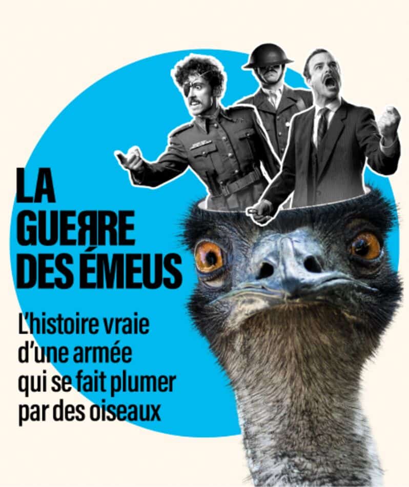 La guerre des émeus, festival d'Avignon 2026